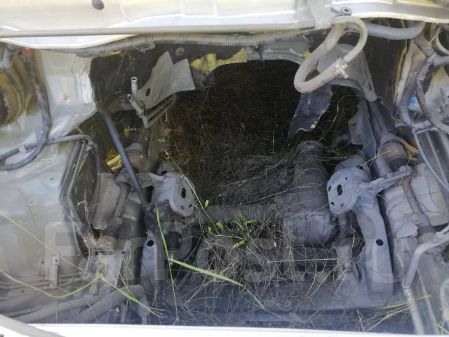 Toyota Granvia. 5VZ ����