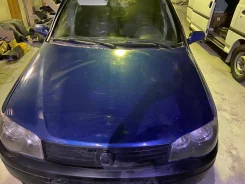 Fiat Albea ����
