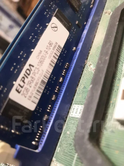 AMD ����