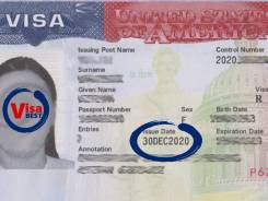 Профессиональная помощь в получении визы в США фото