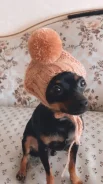 �����. ��� ����� �� ���������� ����