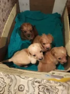 ������. ����