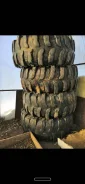 Interco Bogger. ����� mt, �/�, ����� 70 % ����