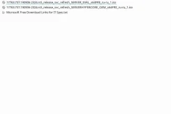 Windows Server 2019. ����