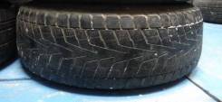 Bridgestone Winter Dueler DM-Z2