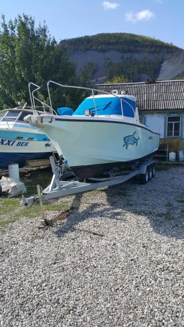Yamaha YF. 2009 ���, ����� 9��., ��������� ���������, 300��.�., ������ ����