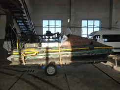 Alligator. 2010 ���, ��������� ���������, ������ ����