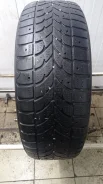 Bridgestone Winter Radial WT-17. ������, ����������, �/�, ����� 50 % ����