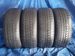Evergreen. ������, ��� �����, 2012 ���, �/�, ����� 50 % ����