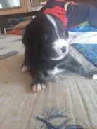 �����. ����