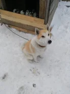 ��������-��������� �����. ����