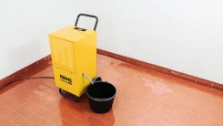 ��������� �������. ��� ����� �� ������������ ����
