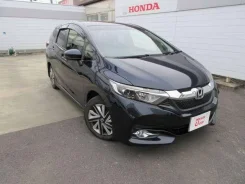 Honda Shuttle. ��������, ��������, 1.5 (102��.�.), ������. ��� ����� �� ���������� ����
