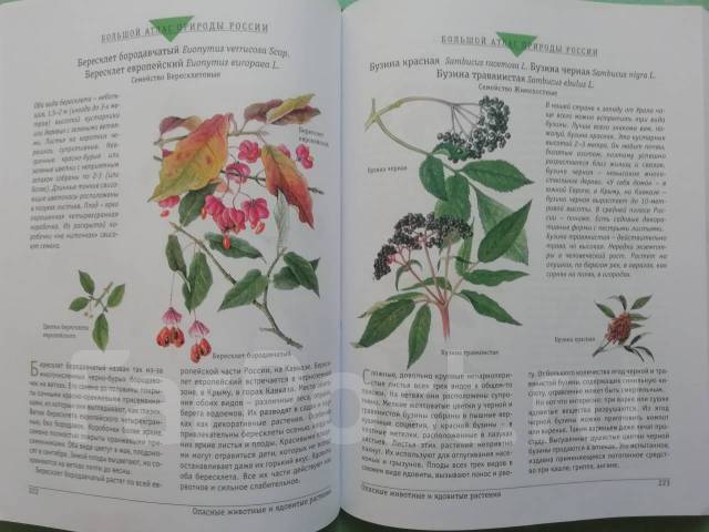 атлас природы движение первых