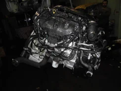 ��� Ford Kuga [281-41] ����