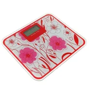 ���� ��������� LuazON LVP-1805 ������� ����� ����