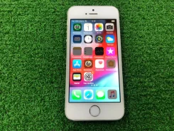 Apple iPhone 5s. �/�, �����, �����������, 3G, 4G LTE ����