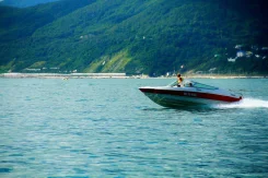 Chaparral. 1994 ���, ����� 6,6��., ��������� ������������, 300��.�., ������ ����