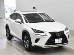 Lexus NX200t. �������, ��������, 2.0 (238��.�.), ������, 33����. ��, �/�. ��� ����� �� ������������ ����