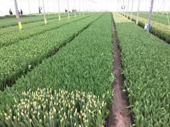 ��������. ����