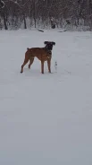 ������. ����