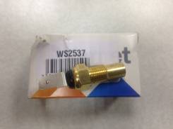     WS2537 