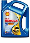 Shell Rimula