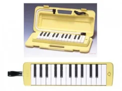 �������� (�������) ������� YAMAHA P-25F ����