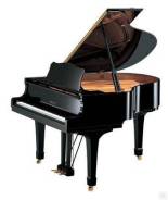 ���������� ����� Yamaha C1 PE ����