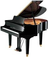 ����� Yamaha GB1KPE ����