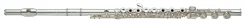 ������ Yamaha YFL-481 ����