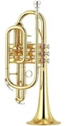 ������ Yamaha YCR-2310II ����