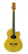 ������������������� ������ Colombo LF-401CEQ/N ����