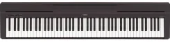 �������� ���������� Yamaha P-45B ����