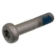���� ��������� �������� ������� �����! M12x1.75mm Torx L-55mm Ford Mondeo / Focus 3 24385 24385 ����