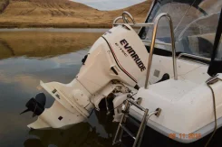 Evinrude. 90��.�., 2-�������, ����������, ���� L (508 ��), 2016 ��� ����
