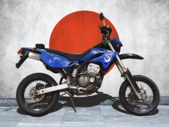 Kawasaki D-Tracker. 250����. ��., ��������, ���, ��� �������. ��� ����� �� ������������ ����