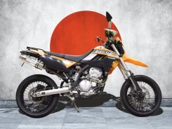 Kawasaki D-Tracker. 250����. ��., ��������, ���, ��� �������. ��� ����� �� ������������ ����