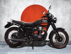 Kawasaki W800. 800����. ��., ��������, ���, ��� �������. ��� ����� �� ������������ ����