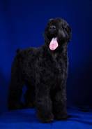 �������.