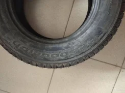 BFGoodrich Activan Winter. ������, ����� ����