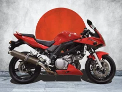 Suzuki SV 1000. 1 000����. ��., ��������, ���, ��� �������. ��� ����� �� ������������ ����