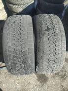 Triangle L-4S. ������, ��� �����, 2017 ���, �/�, ����� 60�% ����