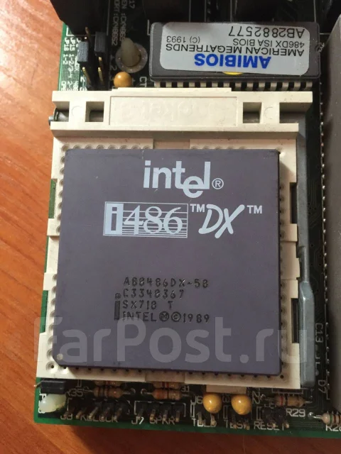 AMD ����