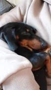 �����. ����