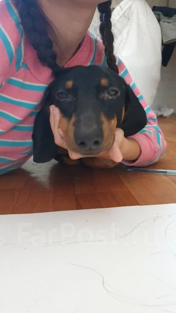 �����. ����