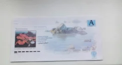 �������� ��������. ����