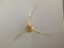 �����, �������. ����