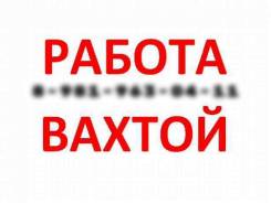 работа во владивостоке подработка ежедневной оплатой