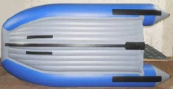 Orca. 2025 ���, ����� 3,6��., ��������� ��� ��������� ����